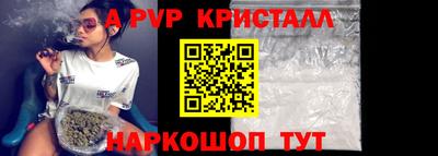 Альфа ПВП Кингисепп
