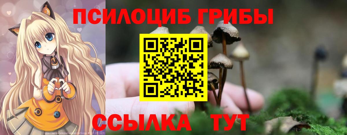 Лабытнанги  Псилоцибиновые грибы MAGIC MUSHROOMS  Псилоцибиновые грибы ЛСД  Вход с VPN 